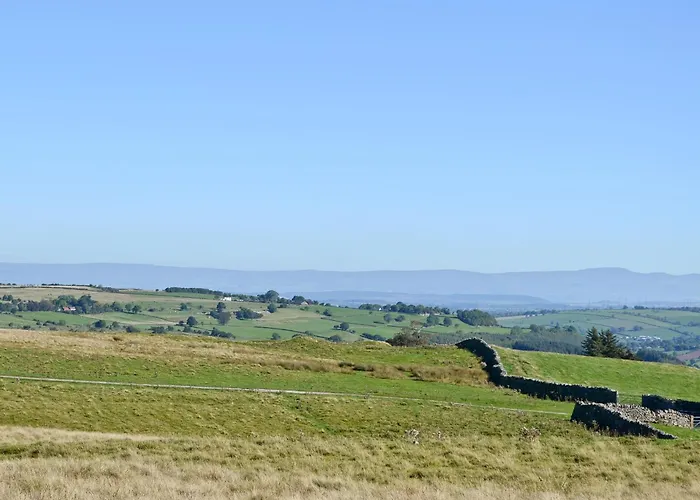 Swallow's Nest - E3245 * Crackenthorpe